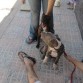 que caretos mi zeus ta hay con 3 meses